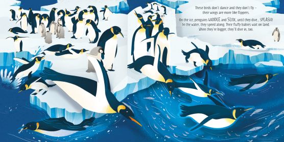 Usborne Pop up series books