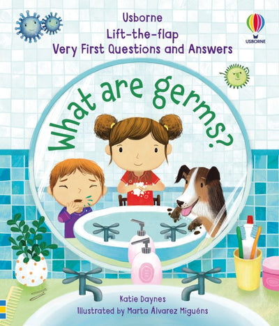 Usborne Lift the flap series very first questions and answers book
