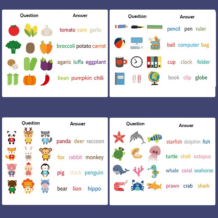 Spelling Educational Game Book with magnets and erasable marker