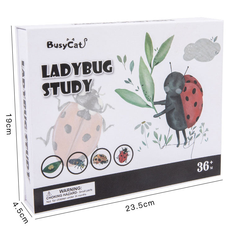 Montessori inspired wooden ladybug educational counting toy