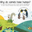 Usborne Lift the flap questions and answers books