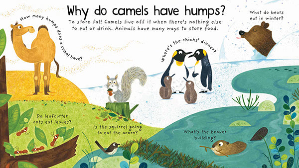 Usborne Lift the flap questions and answers books