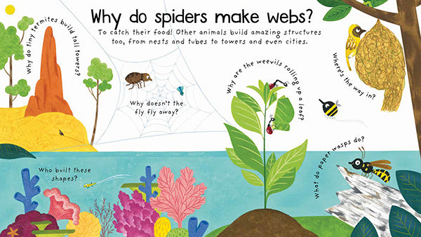 Usborne Lift the flap questions and answers books