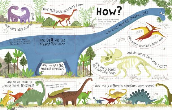 Usborne  Questions and answers lift the flap level 3