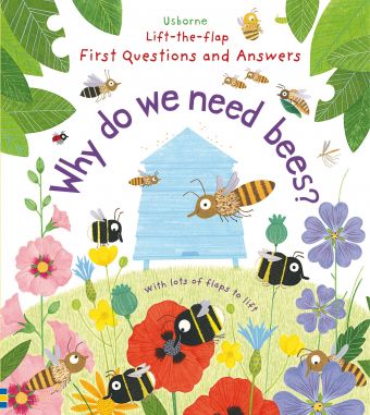 Usborne Lift the flap questions and answers books
