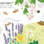 Usborne Lift the flap questions and answers books