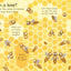 Usborne Lift the flap questions and answers books