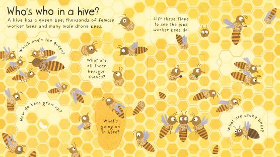 Usborne Lift the flap questions and answers books
