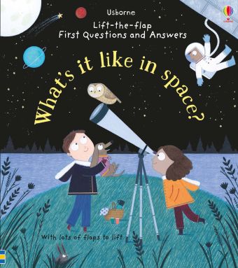 Usborne Lift the flap questions and answers books