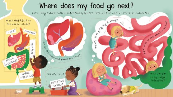 Usborne Lift the flap questions and answers books