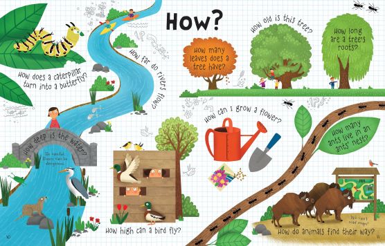 Usborne  Questions and answers lift the flap level 3