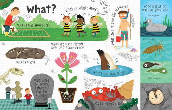 Usborne  Questions and answers lift the flap level 3