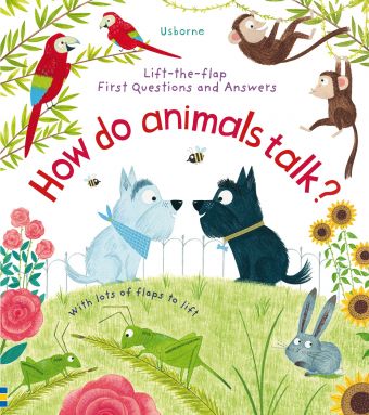 Usborne Lift the flap questions and answers books