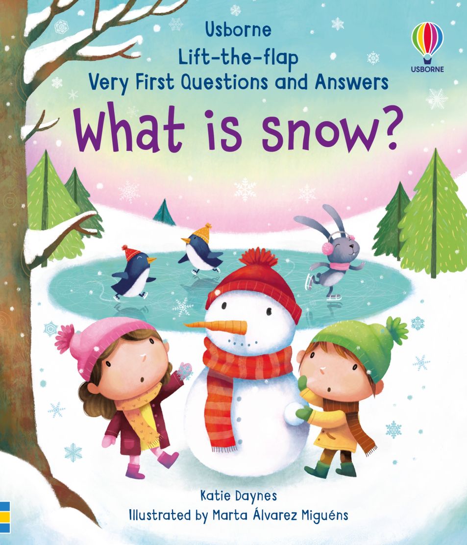 Usborne Lift the flap series very first questions and answers book