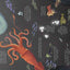 Usborne Look inside series