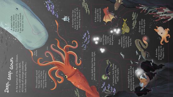 Usborne Look inside series