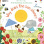 Usborne Lift the flap questions and answers books