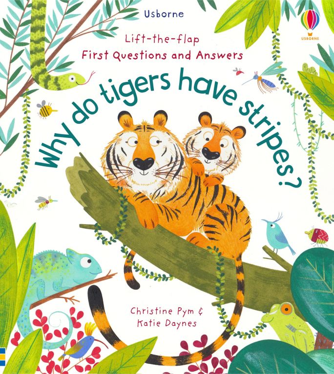 Usborne Lift the flap questions and answers books