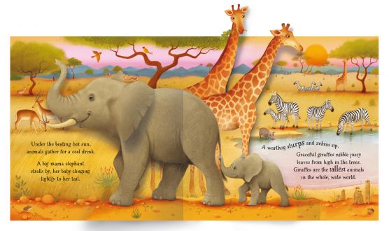 Usborne Pop up series books