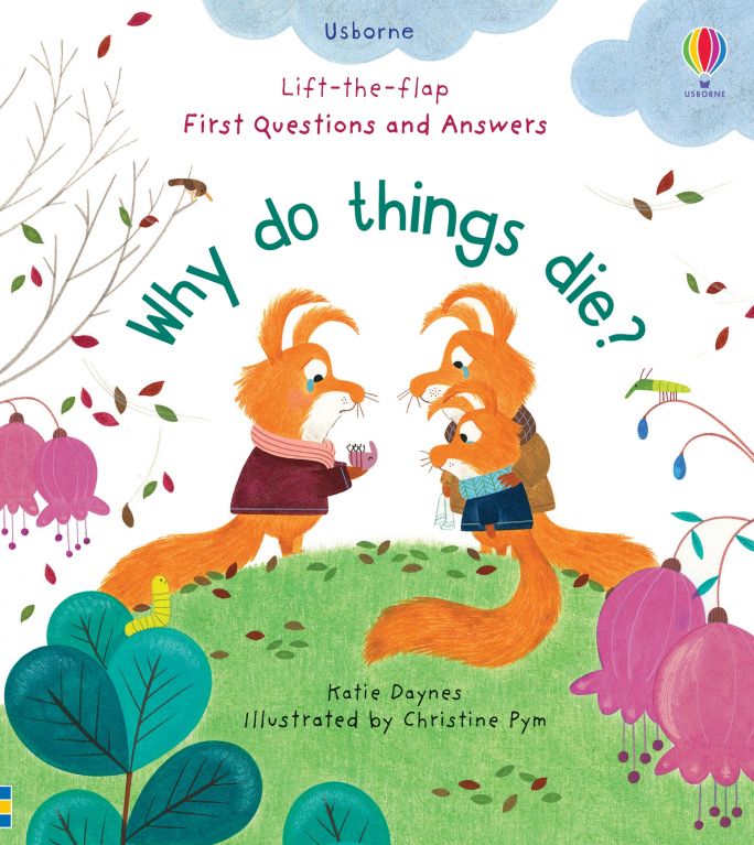 Usborne Lift the flap questions and answers books