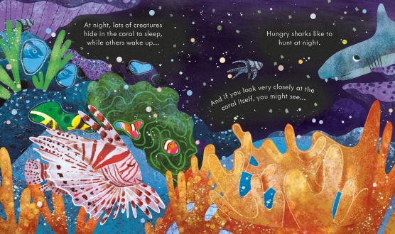usborne peep inside series books