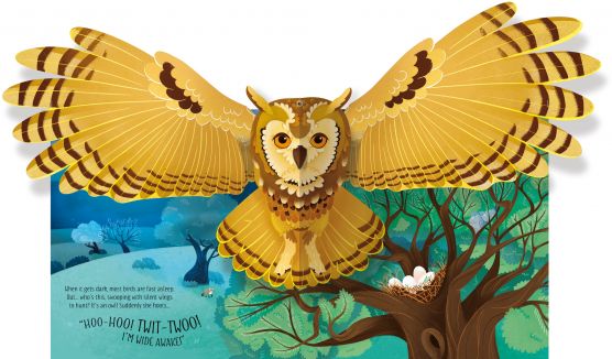 Usborne Pop up series books