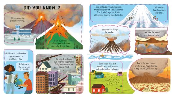 Usborne Look inside series