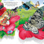 Usborne Pop up series books