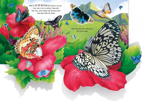 Usborne Pop up series books