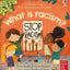Usborne Lift the flap questions and answers books