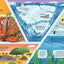 Usborne Look inside series