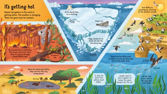 Usborne Look inside series