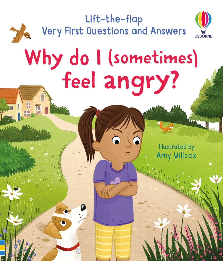 Usborne Lift the flap series very first questions and answers book