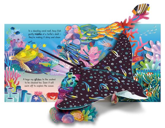 Usborne Pop up series books