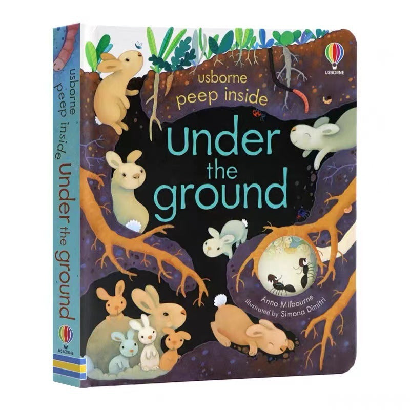 usborne peep inside series books