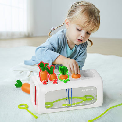Topbright Carrot and Plant Sorting Toy. Fine Motor Skill Toy