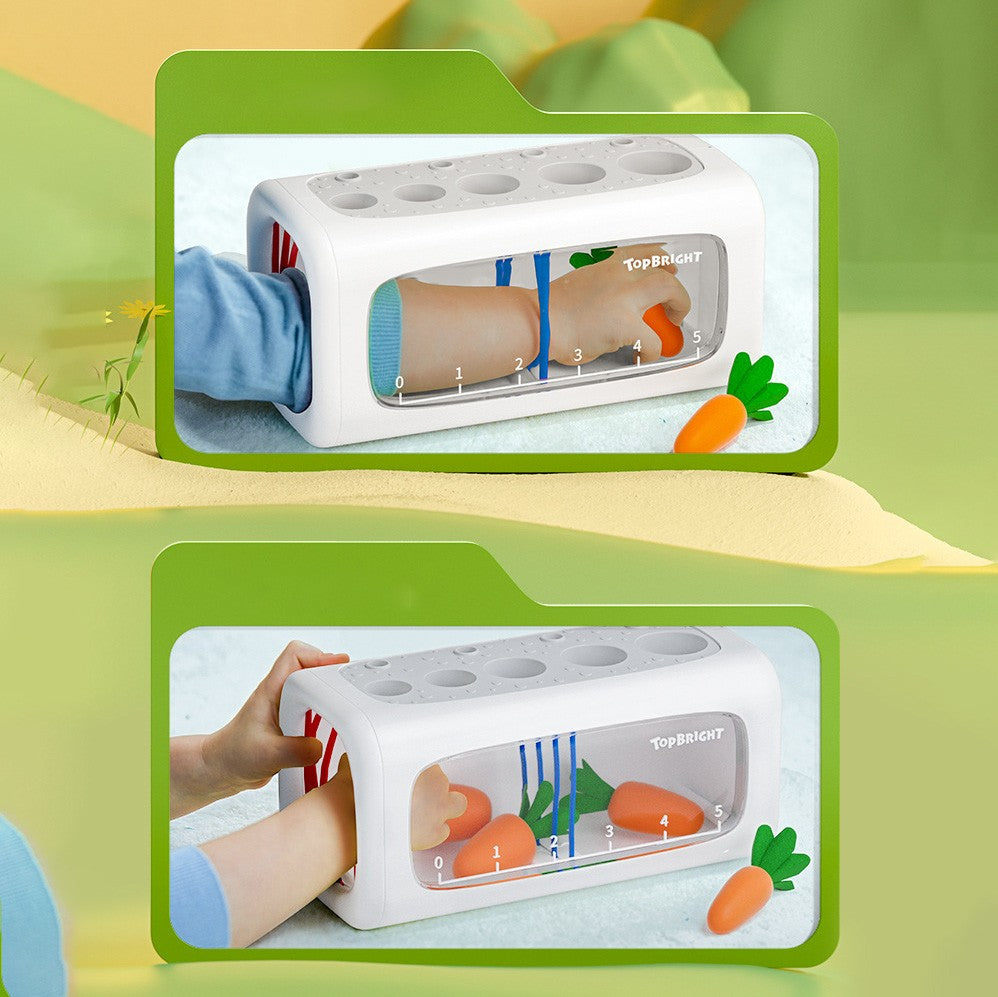 Topbright Carrot and Plant Sorting Toy. Fine Motor Skill Toy