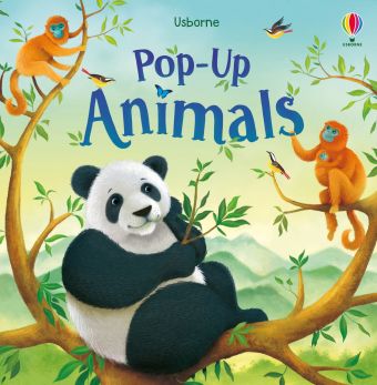 Usborne Pop up series books