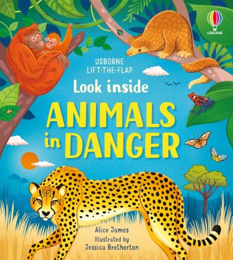Usborne Look inside series
