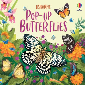 Usborne Pop up series books