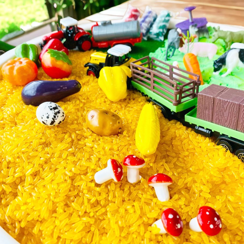 Farm Theme Sensory Play Set. Pretend Play. Sensory exploration