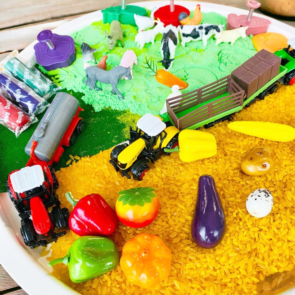 Farm Theme Sensory Play Set. Pretend Play. Sensory exploration