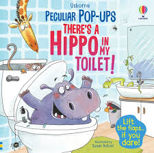 Usborne Pop up series books