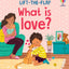 Usborne Lift the flap series very first questions and answers book