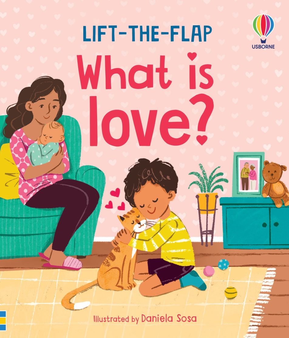 Usborne Lift the flap series very first questions and answers book