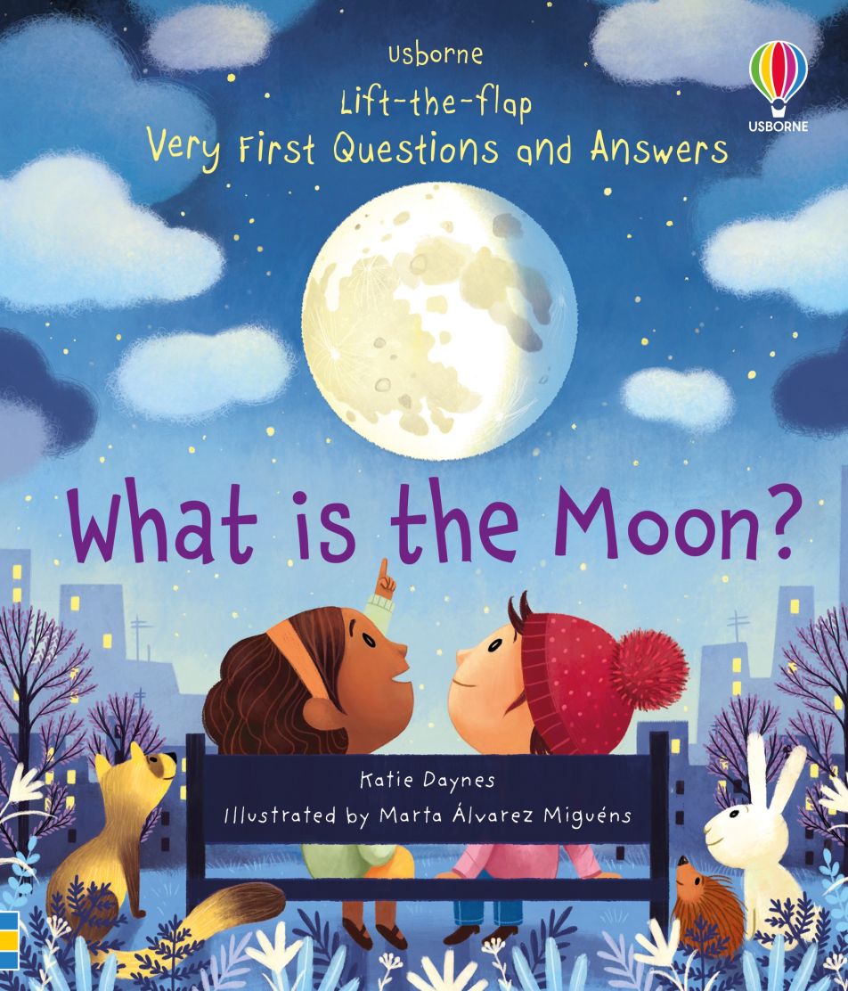 Usborne Lift the flap series very first questions and answers book