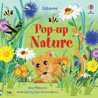 Usborne Pop up series books