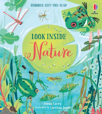 Usborne Look inside series