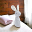 Mini Mamas Rabbit Baby Soft Toy. Perfect Baby shower gift.