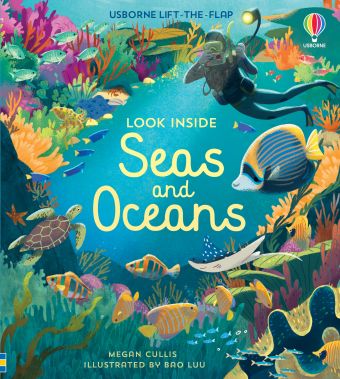Usborne Look inside series